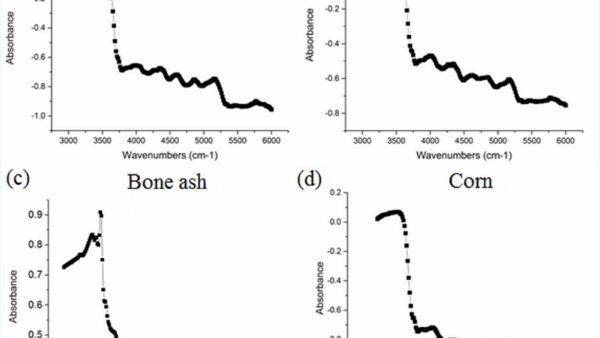 Detection of animal by-products in bone ashes by near infrared spectroscopy coupled with microscopy