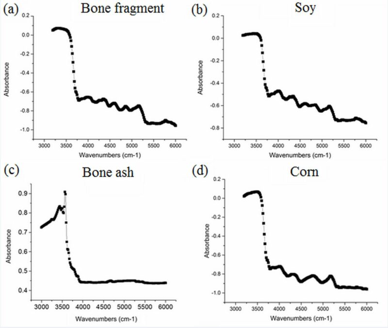 Detection of animal by-products in bone ashes by near infrared spectroscopy coupled with microscopy