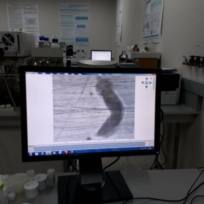 Vibralytics